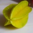 Khế chín nhà trồng tự nhiên
